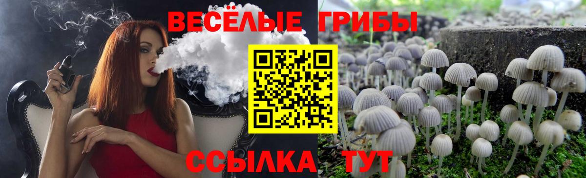 Галлюциногенные грибы Psilocybe  Псилоцибиновые грибы мицелий  Вход с VPN  Советская Гавань 